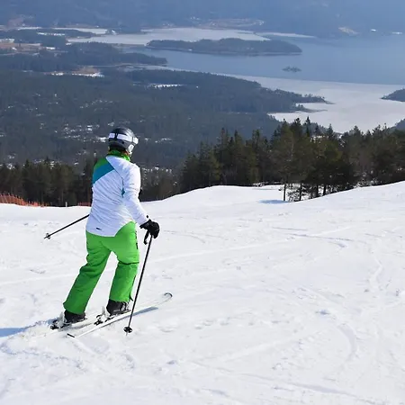 Fjellblikken