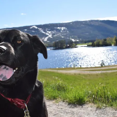Fjellblikken Sinnes