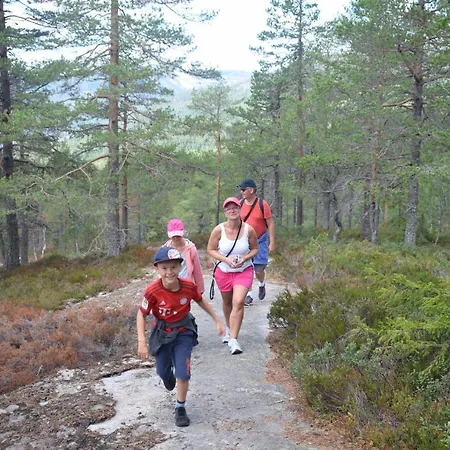 Fjellblikken * Sinnes