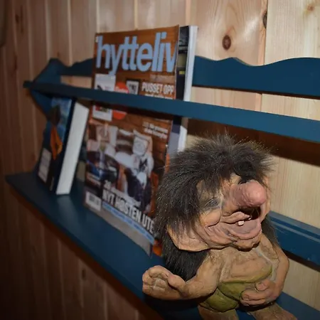 Fjellblikken *