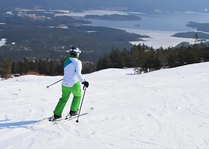 Fjellblikken