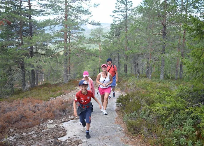 Fjellblikken * Sinnes
