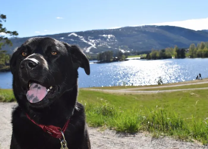 Fjellblikken Sinnes